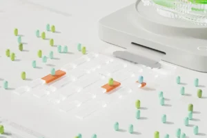 Meow Technologies Launches Banking Platform for AI Agents